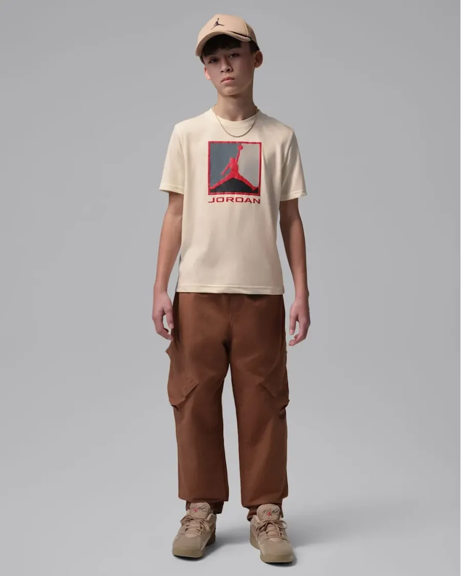 Футболка Nike Air Jordan Essential 3.0 95F057-W5T