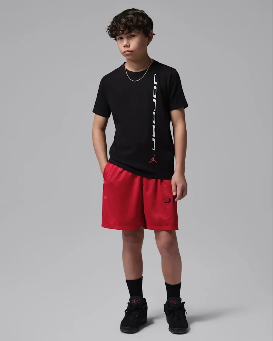Футболка Nike Air Jordan Sport Graphic 95F643-023