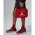 Сумка Nike Air Jordan Fuel Pack Lunch Bag 9A0542-R78