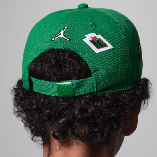 Кепка Nike Air Jordan Signature Curved Brim 9A9028-E1P