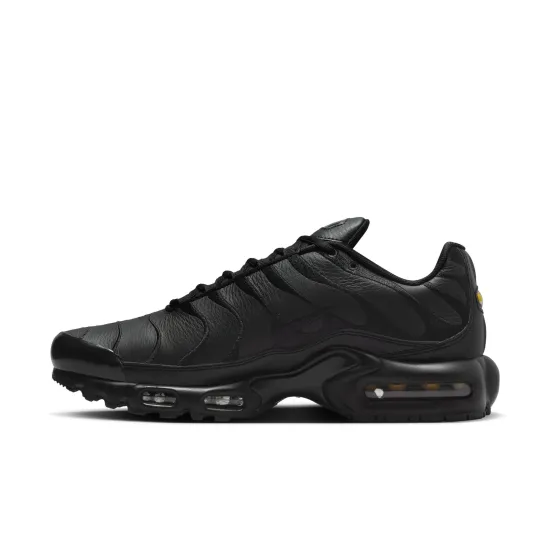 Кросівки Nike Air Max Plus AJ2029-001