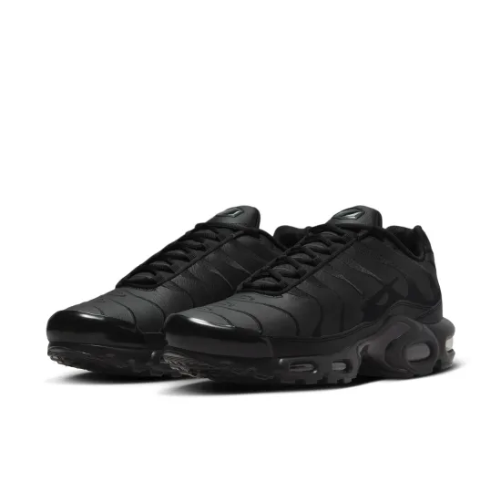 Кросівки Nike Air Max Plus AJ2029-001