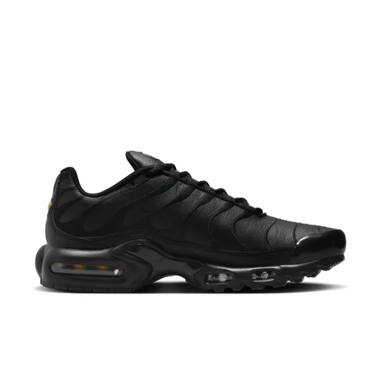Кросівки Nike Air Max Plus AJ2029-001