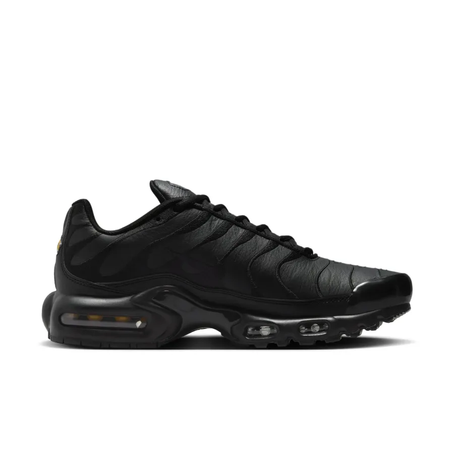 Кросівки Nike Air Max Plus AJ2029-001