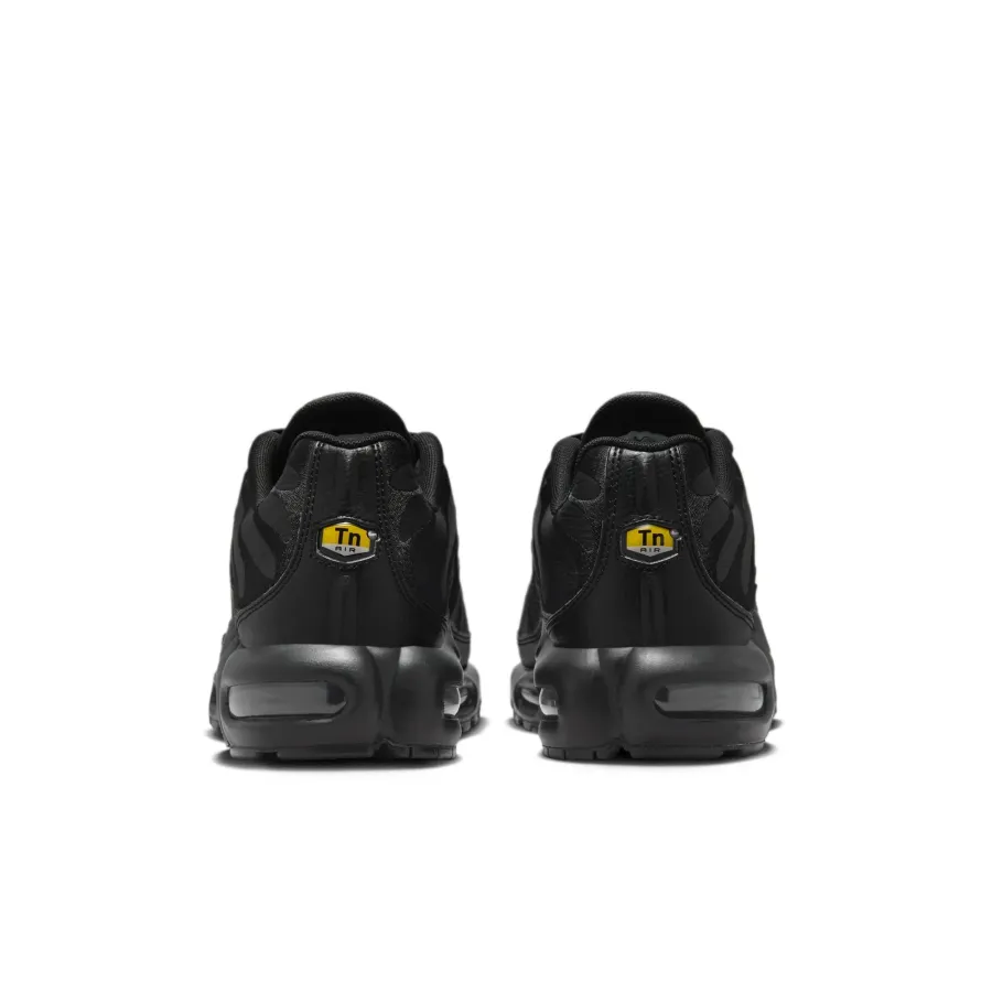 Кросівки Nike Air Max Plus AJ2029-001