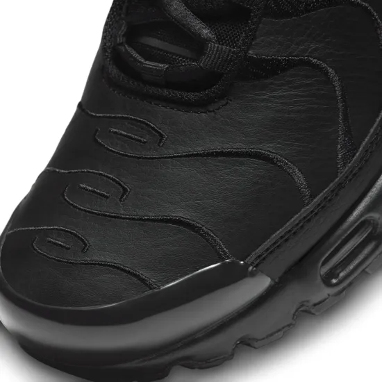 Кросівки Nike Air Max Plus AJ2029-001