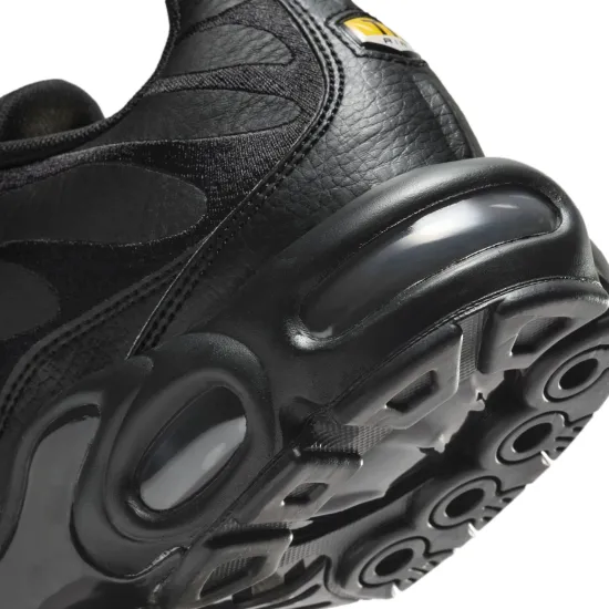 Кросівки Nike Air Max Plus AJ2029-001