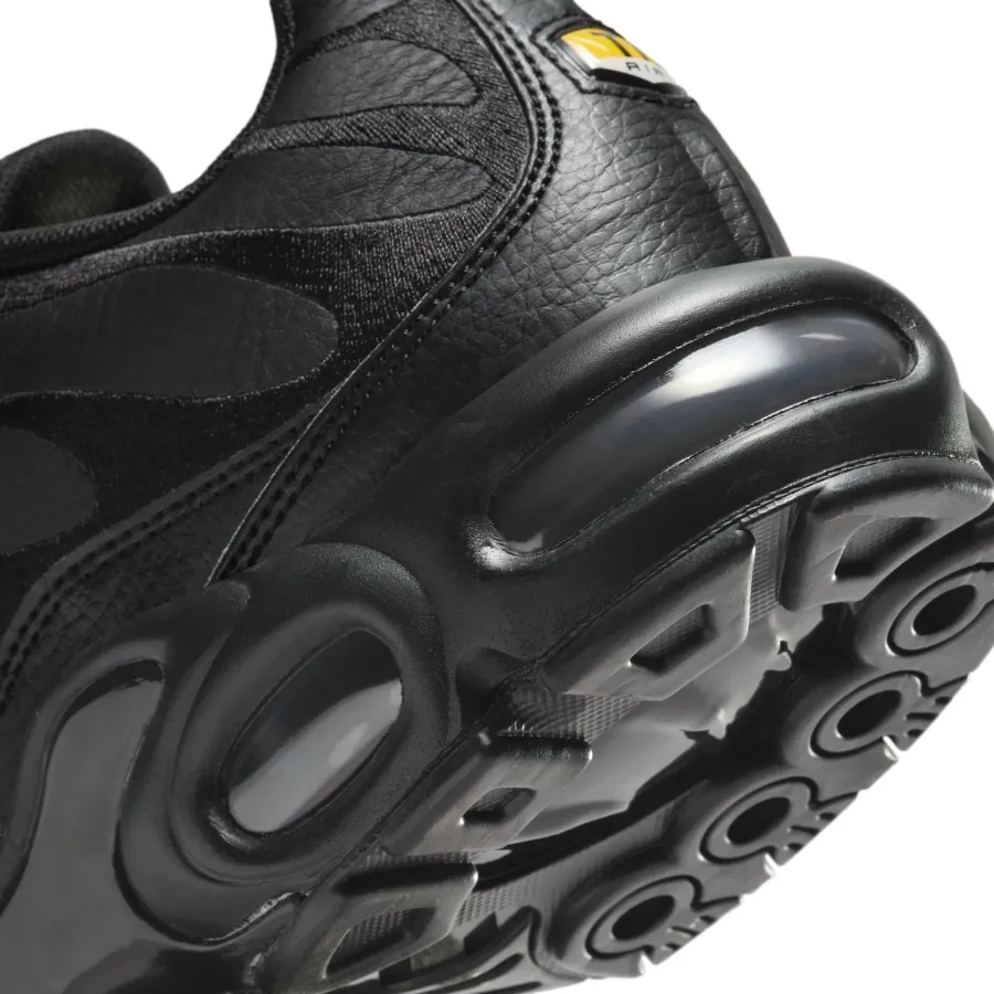 Кросівки Nike Air Max Plus AJ2029-001
