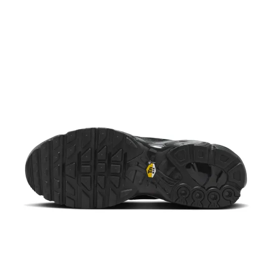 Кросівки Nike Air Max Plus AJ2029-001