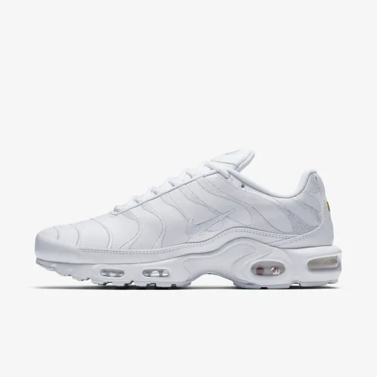 Кросівки Nike Air Max Plus AJ2029-100