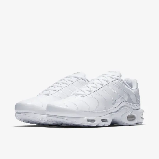 Кросівки Nike Air Max Plus AJ2029-100