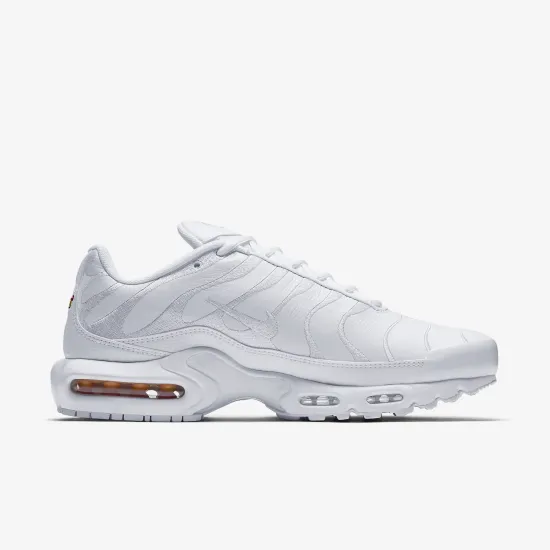 Кросівки Nike Air Max Plus AJ2029-100