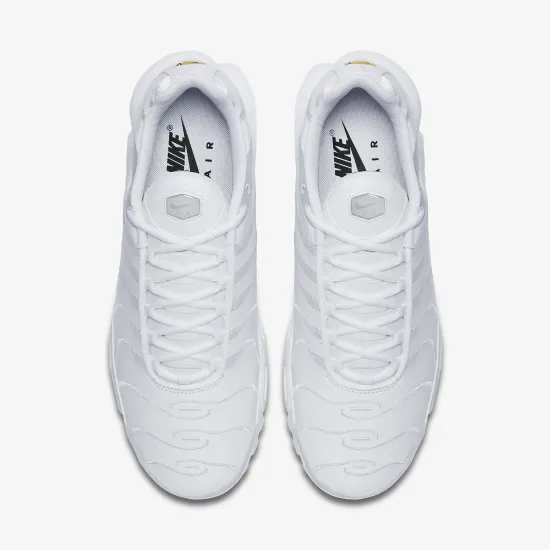 Кросівки Nike Air Max Plus AJ2029-100