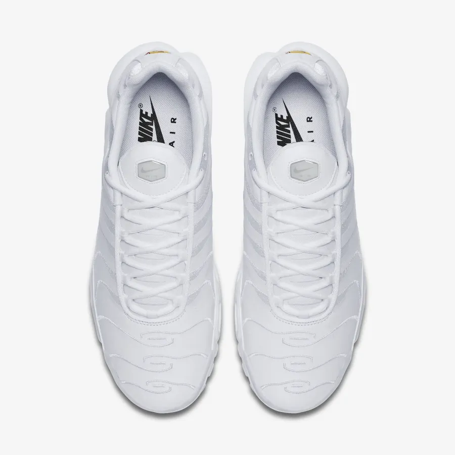 Кросівки Nike Air Max Plus AJ2029-100