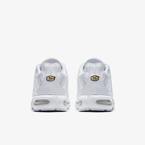 Кросівки Nike Air Max Plus AJ2029-100