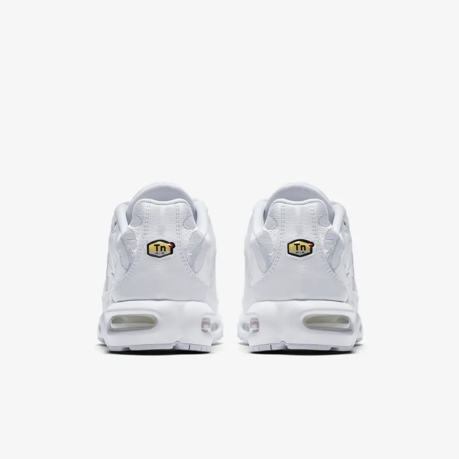 Кросівки Nike Air Max Plus AJ2029-100