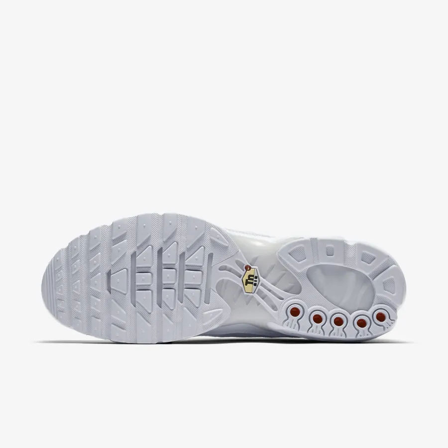 Кросівки Nike Air Max Plus AJ2029-100