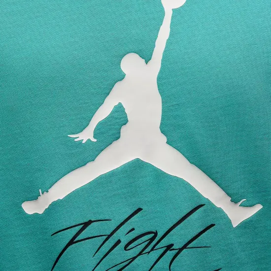 Футболка Nike Air Jordan Jumpman Flight AO0664-392