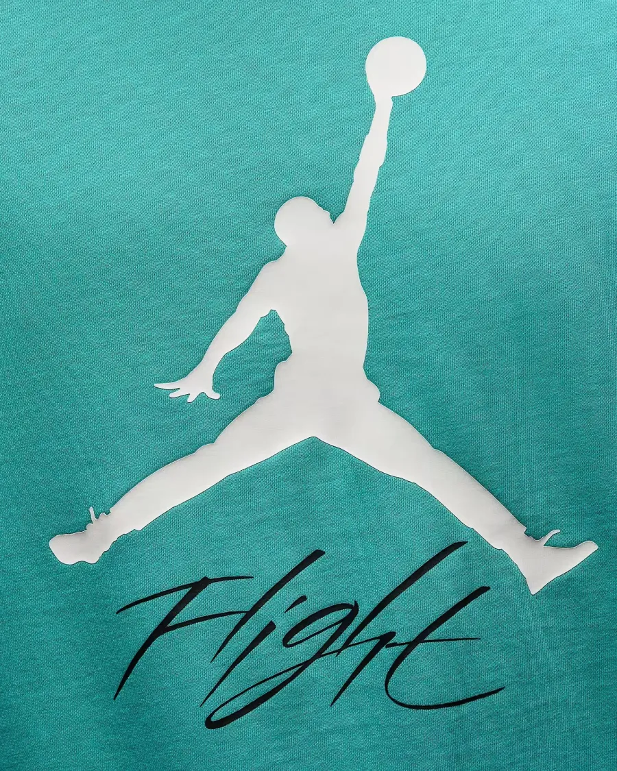 Футболка Nike Air Jordan Jumpman Flight AO0664-392