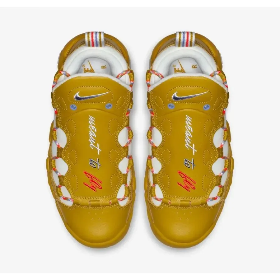Кросівки Nike Air More Money AO1749-300