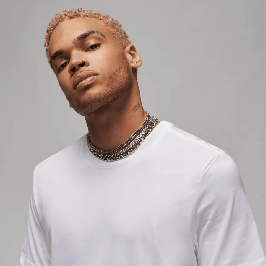 Футболка Nike Air Jordan Core Blank Crew AQ2366-100