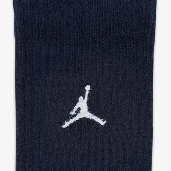 Шкарпетки Nike Air Jordan Everyday Essentials Ankle BJ0583-695