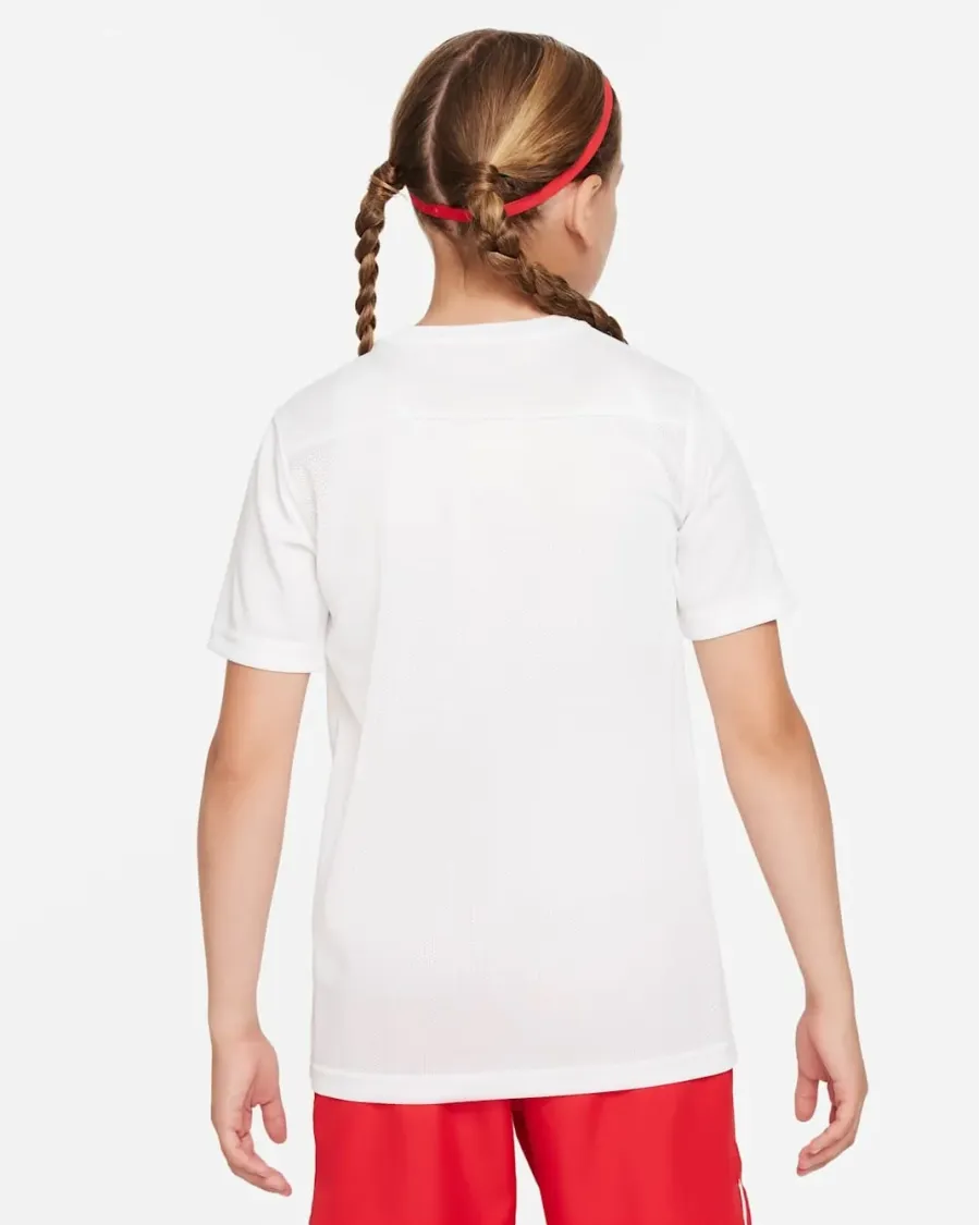 Футболка Nike Dri-FIT Park VII SS BV6741-103