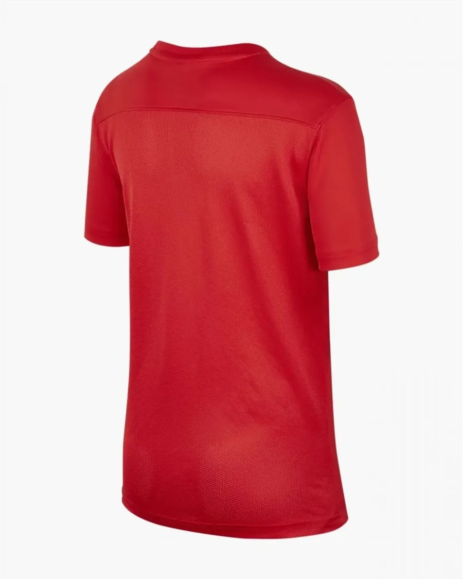 Футболка Nike Dri-FIT Park VII SS BV6741-657