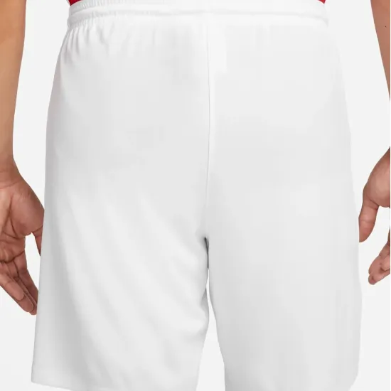 Шорти Nike Dri-FIT Park III Knit BV6855-103