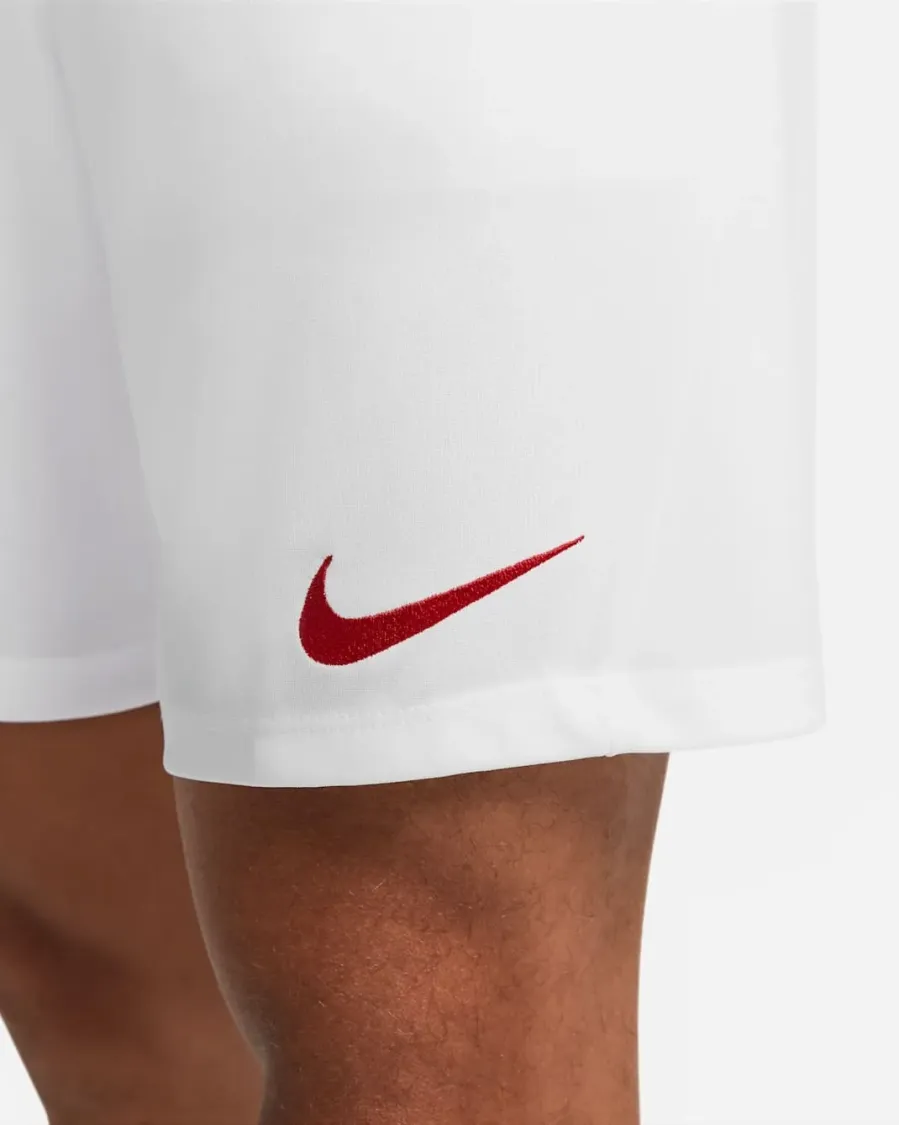 Шорти Nike Dri-FIT Park III Knit BV6855-103