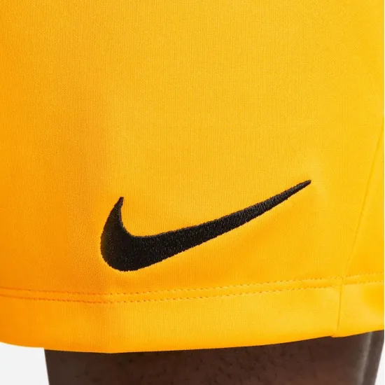 Шорти Nike Dri-FIT Park III Knit BV6855-739