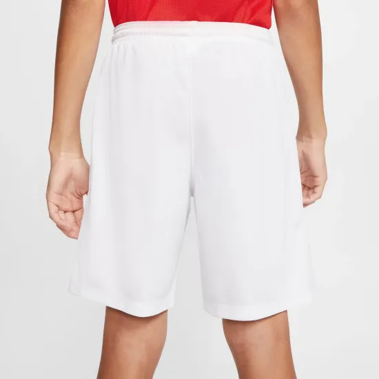 Шорти Nike Youth Dri-FIT Park III BV6865-100