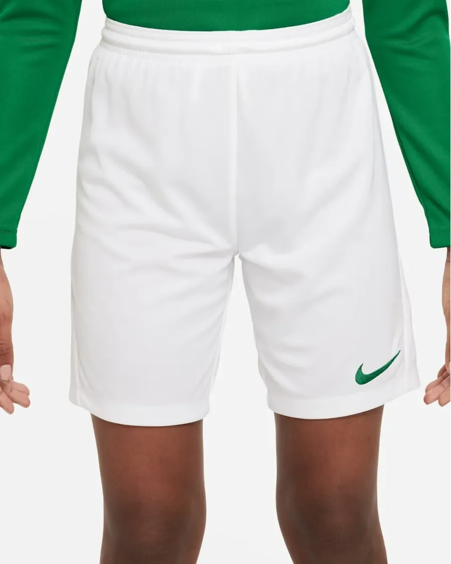 Шорти Nike Youth Dri-FIT Park III BV6865-102