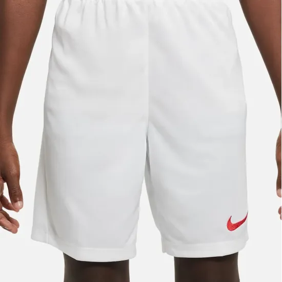 Шорти Nike Youth Dri-FIT Park III BV6865-103