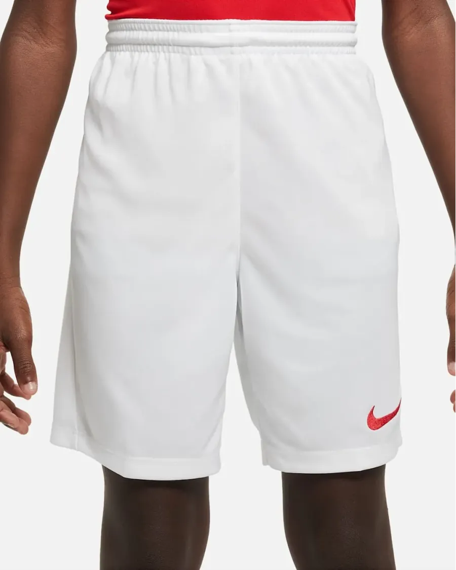 Шорти Nike Youth Dri-FIT Park III BV6865-103