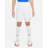Шорти Nike Youth Dri-FIT Park III BV6865-104