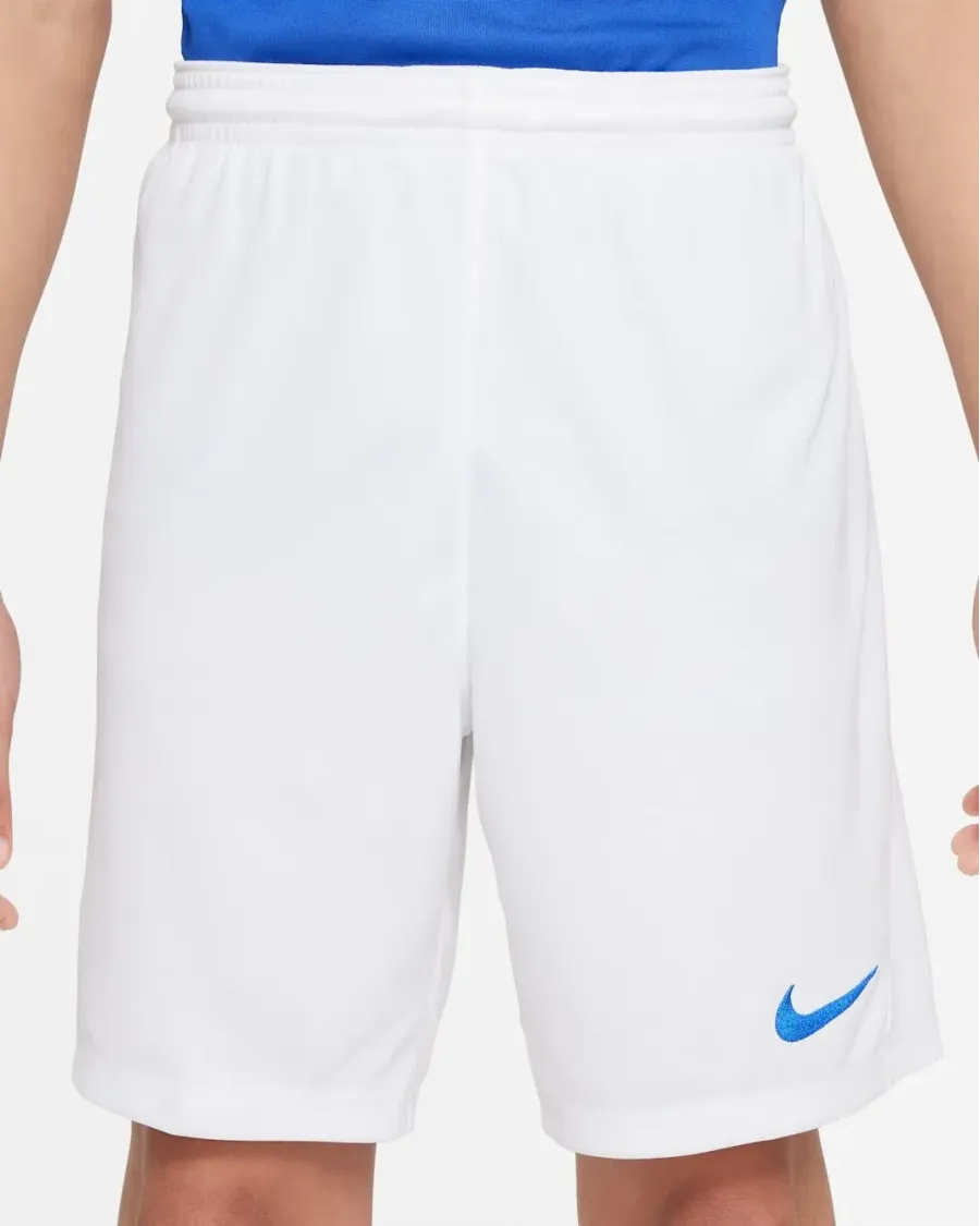 Шорти Nike Youth Dri-FIT Park III BV6865-104