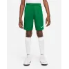 Шорти Nike Youth Dri-FIT Park III BV6865-302