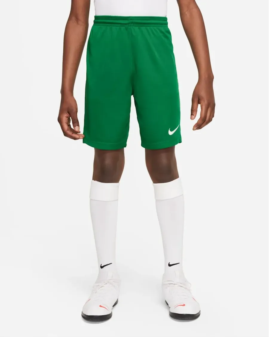 Шорти Nike Youth Dri-FIT Park III BV6865-302