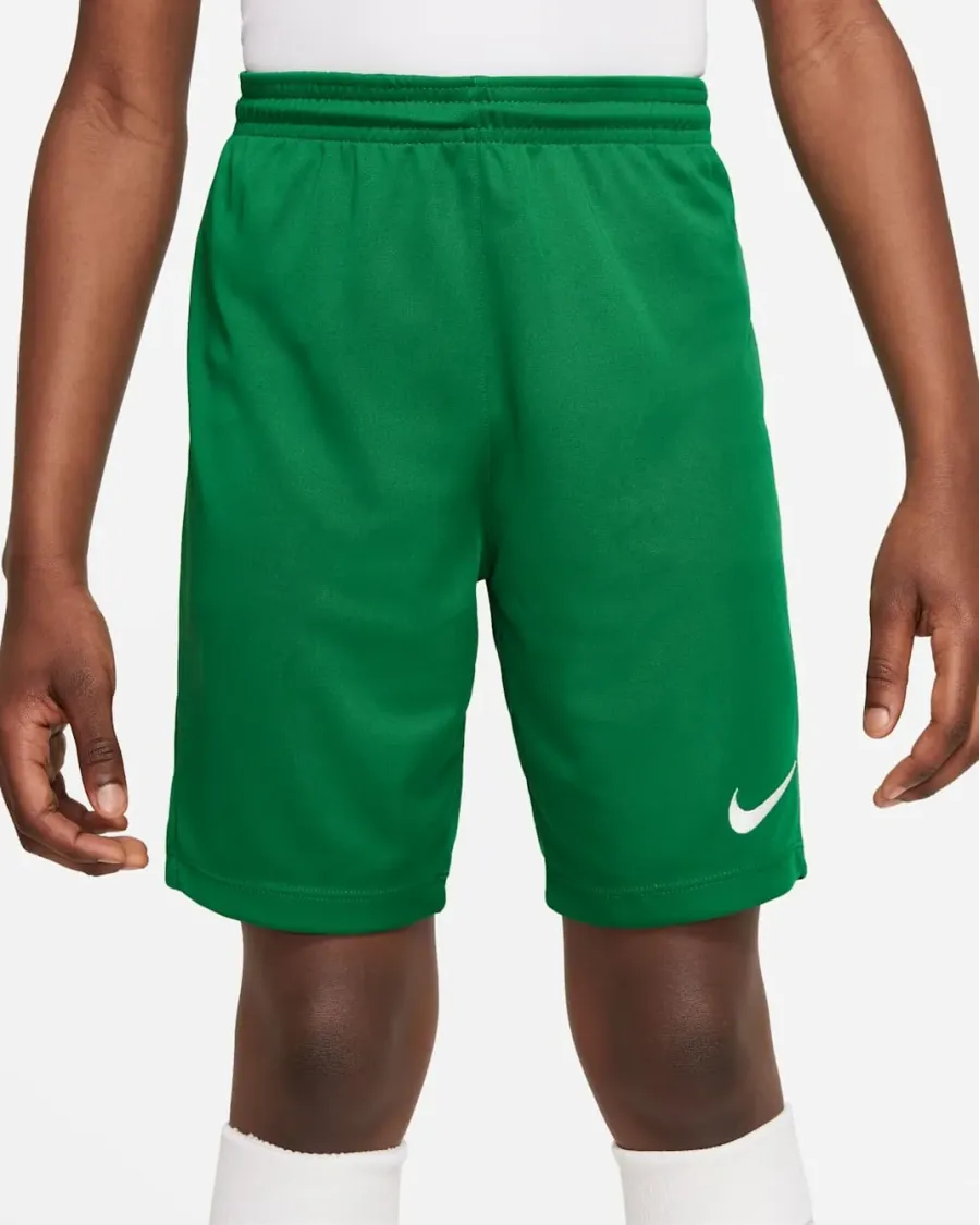 Шорти Nike Youth Dri-FIT Park III BV6865-302
