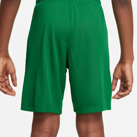 Шорти Nike Youth Dri-FIT Park III BV6865-302