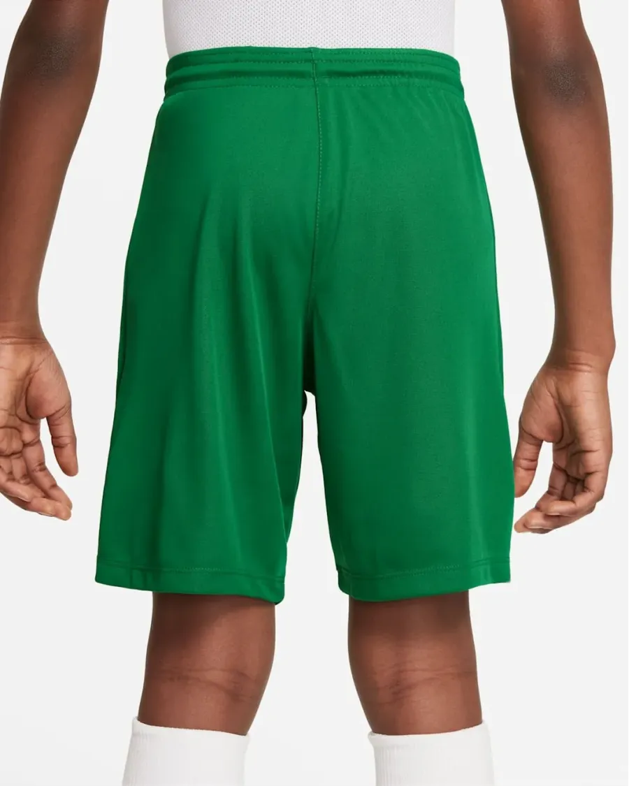 Шорти Nike Youth Dri-FIT Park III BV6865-302