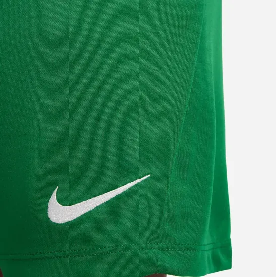 Шорти Nike Youth Dri-FIT Park III BV6865-302