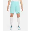 Шорти Nike Youth Dri-FIT Park III BV6865-354