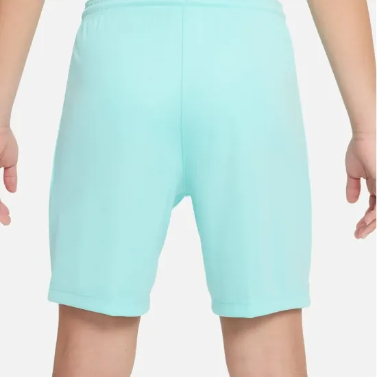 Шорти Nike Youth Dri-FIT Park III BV6865-354