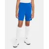 Шорти Nike Youth Dri-FIT Park III BV6865-463