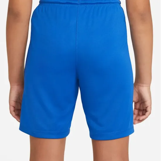 Шорти Nike Youth Dri-FIT Park III BV6865-463