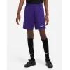 Шорти Nike Youth Dri-FIT Park III BV6865-547