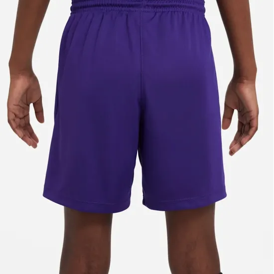 Шорти Nike Youth Dri-FIT Park III BV6865-547