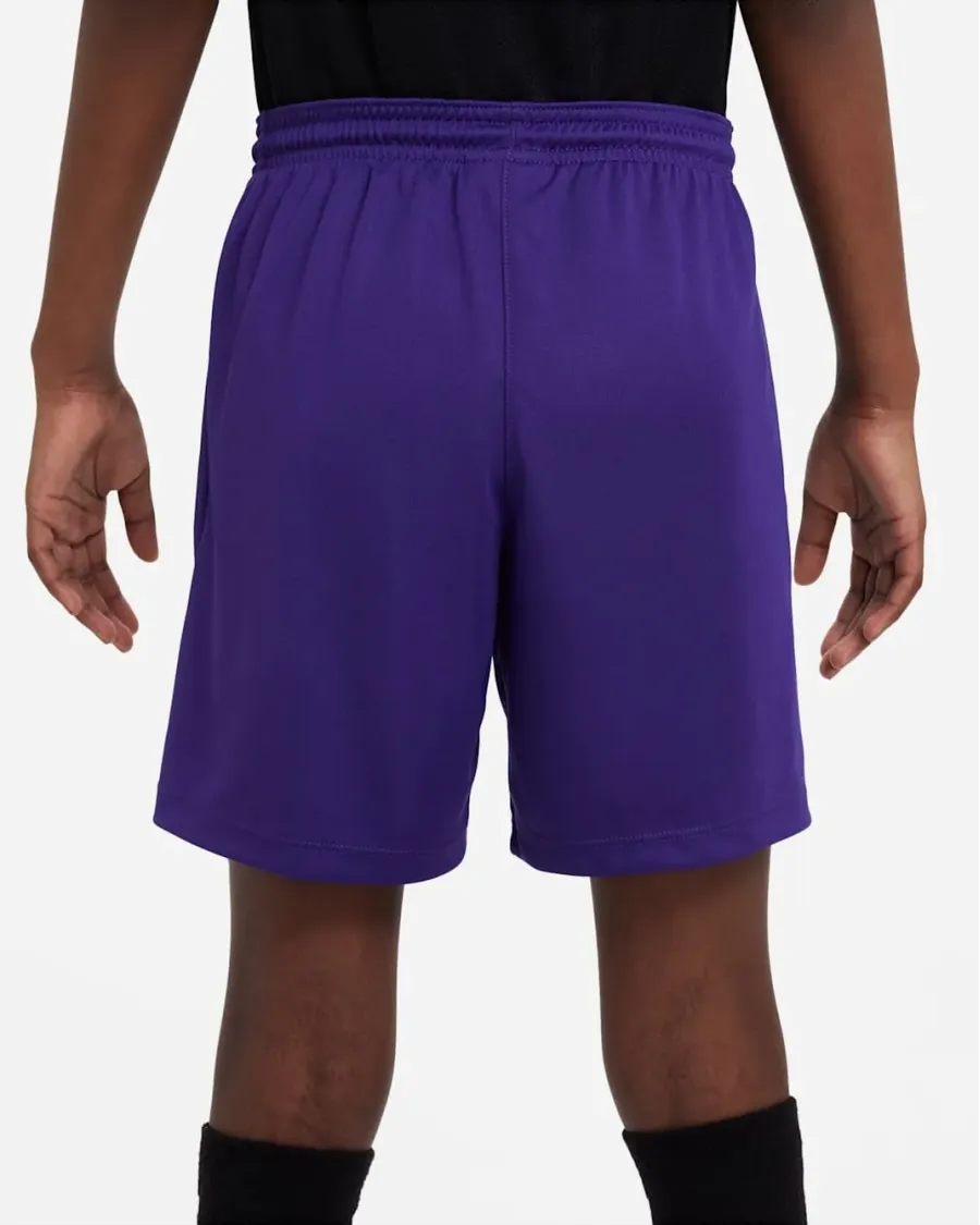 Шорти Nike Youth Dri-FIT Park III BV6865-547